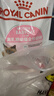 皇家幼猫奶糕 幼猫猫粮 BK34 通用粮 1-4月 2KG 实拍图