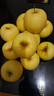 甜醉了 烟台苹果黄元帅粉面苹果黄金帅黄香蕉山东新鲜水果当季整箱鲜果 净重4.5斤75mm 实拍图