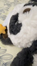 babycare熊猫安抚玩偶睡眠手偶阿贝贝婴儿宝宝睡觉毛绒玩具新生儿见面礼盒 实拍图