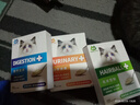 最宠（Paddy Time）猫零食猫条肠胃健康10g*14支 鳕鱼鸡鸭肉成幼猫补水消化呵护肠胃 实拍图