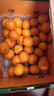 京鲜生 砂糖橘/砂糖桔 净重5斤精品果 生鲜水果年货礼盒  实拍图