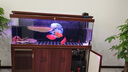 森森龙鱼缸加热棒自动恒温省电加温棒水族箱加温器变频数显1000W 实拍图