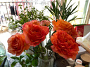 【康乃馨】鲜花云南基地直发女神节礼物花束多色花期长七夕送人3 随机色玫瑰花10支 实拍图