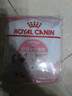 皇家宠物猫粮 幼猫猫粮K36-适用于12月龄50g*3 实拍图