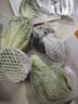 绿食者 新鲜蔬菜沙拉组合4斤 西餐色拉沙拉生菜轻食健身食材配菜 4斤【无沙拉酱】 实拍图