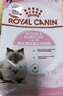 皇家猫粮幼猫奶糕  BK34 通用粮 1-4月 400g 实拍图