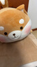名创优品（MINISO）趣味阿柴趴姿毛绒公仔玩偶抱枕玩具靠枕娃娃送礼儿童生日礼物女 实拍图