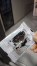 康美水蛭 破血通经 逐瘀消癥 康美中药饮片水蛭中药材中药饮片 蚂蟥干高品质水蛭可自磨水蛭粉中药抓药 水蛭100g【破血通经 逐瘀消癥】 晒单实拍图