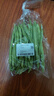 四季豆300g(架豆） 实拍图