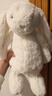 Jellycat害羞乳白色邦尼兔动物毛绒玩偶安抚玩偶娃娃生日情人节礼物 害羞乳白色邦尼兔 Medium 实拍图