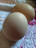 京鲜生可生食标准鲜鸡蛋30枚礼盒装3斤 源头直发 实拍图