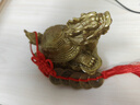 明恩黄铜龙龟摆件八卦龙头龟铜金钱龟龙龟风水摆件办公室家用客厅 小号八卦龙龟【配底座+五帝钱】 实拍图