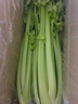 京鲜生山东新鲜大西芹净重4.5斤榨汁现挖芹菜鲜嫩蔬菜 去半叶源头直发 实拍图