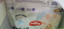 好奇（Huggies）铂金装小桃裤成长裤XL96片(12-17kg)加大号尿不湿【透爽散热】 实拍图