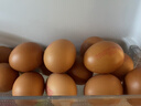 德青源A级鲜鸡蛋32枚2.74斤起无抗生素 谷物喂养  营养早餐家庭礼盒 实拍图