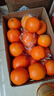 京鲜生 赣南脐橙 净重10斤装 钻石果 单果230g起 生鲜橙子水果年货礼盒 实拍图