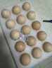 京鲜生【每日鲜蛋】无抗谷物鸡蛋30枚 3.18斤 当日产蛋 当日发货 实拍图