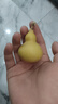 天然葫芦文玩带龙头手捻把玩小精品野生葫芦迷你家居客厅摆件 1个精品级【4-6厘米龙头葫芦】 实拍图