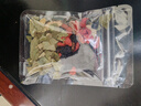 鹿茸淫羊藿肉苁蓉锁阳玛咖桑葚枸杞黄芪八宝茶男人滋补茶淫羊藿茶 男人八宝茶 1袋*10包 300g 实拍图