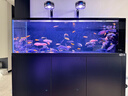 乐迪鱼缸灯72W爆藻灯原生态溪流缸灯金鱼出苔 NX扁灯  黑色80W 【五路可调光谱】 实拍图