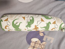 babycare婴儿安抚枕头宝宝多功能抱枕透气枕头6月-6岁-比奇角恐龙39*12cm 实拍图