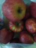 京地达辽宁国光苹果 果光苹果酸甜小苹果 净重5斤20个左右源头直发包邮 实拍图