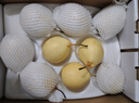 京鲜生 长城晋州鸭梨 地标产品 净重5斤 单果250g+ 生鲜水果礼盒 实拍图