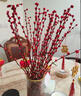 九月生新年装饰银柳真花20支60cm年宵花干花摆件礼盒送礼送亲友带花瓶 实拍图