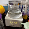 小壮熊 全玻璃恒温壶 恒温调奶器冲奶水壶 保热冲泡暖奶暖烧水壶 白1.5L 实拍图