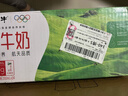 蒙牛全脂纯牛奶200ml*24盒 家庭年货囤货 电商定制 实拍图