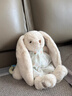伽百利（Gabriel）毛绒玩偶可爱兔子玩偶娃娃玩具节日礼物生日礼物送女生马年吉祥物 小甜心 礼盒款（送礼袋） 30cm 实拍图