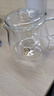 宣室堂【现货速发】加厚玻璃茶壶小号玻璃耐热耐高温泡茶壶水分离泡茶套 550ml 只售单壶 不送小杯 550ml 实拍图