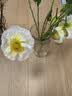 九千谷花瓶醒花桶耐摔插花家用办公花店插花容器通用款12cm*25cm1494 实拍图