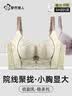 都市丽人【桑蚕丝养肤】内衣女聚拢小胸显大上托防下垂无钢圈10A抗菌文胸 实拍图