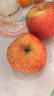 京鲜生 烟台红富士苹果 4粒装  单果160-190g  生鲜水果 实拍图