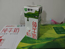 蒙牛全脂纯牛奶200ml*24盒 家庭年货囤货 电商定制 实拍图