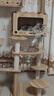 唐米吉吉加粗大型猫爬架猫窝猫树一体太空舱猫架子小户型不占地剑麻猫玩具 【肥猫无忧】176cm猫别墅-B58 实拍图