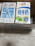 伊利纯牛奶 250ml*16盒 全脂牛奶 礼盒装 10月产 实拍图