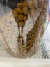 冠能猫粮室内成猫猫粮2.5kg 全价猫粮 添加膳食纤维 控制毛球 实拍图