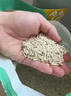 凯锐思豆腐猫砂除味猫沙豆腐砂豆腐渣低粉尘大颗粒结团吸水可冲厕所 【性价比豆腐砂试用】1包共4.6斤 实拍图