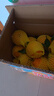 生活＆好管家四川丑橘不知火特大果新鲜水果桔橘子丑柑丑八怪整箱 9-10斤【家庭装】净重8.5斤 果径75-80mm【中大果】 实拍图