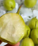 京鲜生 新疆库尔勒香梨 净重10斤 一级 单果100-120g 生鲜水果 实拍图