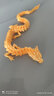 批发中国龙东海龙王3D打印龙玩具手办龙模型摆件儿童摆摊造景 黄金龙1条 45cm 实拍图
