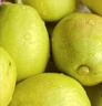 京鲜生 新疆库尔勒香梨 净重5斤 一级 单果100g-120g  生鲜水果 实拍图