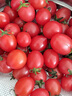 广西新鲜千禧圣女果小番茄现摘现发多汁水果适合孕妇食用 1斤 实拍图