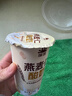 瑞缘 新疆嚼燕麦谷物燕麦仁酸奶0蔗糖整箱嚼着喝国产酸奶无蔗糖 180g*10 实拍图