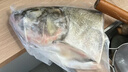 鲜喜爱 冷冻千岛湖有机鲢鱼头1.5斤 白鲢鱼头  生鲜鱼类 海鲜水产 年货 实拍图