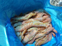 渔游记阿根廷红虾（L1）2kg特级大号进口海捕红虾似红魔虾海鲜 L1红虾 4斤(净重) 实拍图