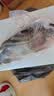 京乐狳桂鱼淡水鳜鱼鳌花鱼现捕鲜活现杀整条季花鱼 一条约750g(净膛前)现杀现发 一条装 实拍图