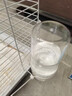 乖卷鹦鹉自动喂食器 鸟用饮水器透明可视下料食盒虎皮牡丹鸟用品495ml 实拍图